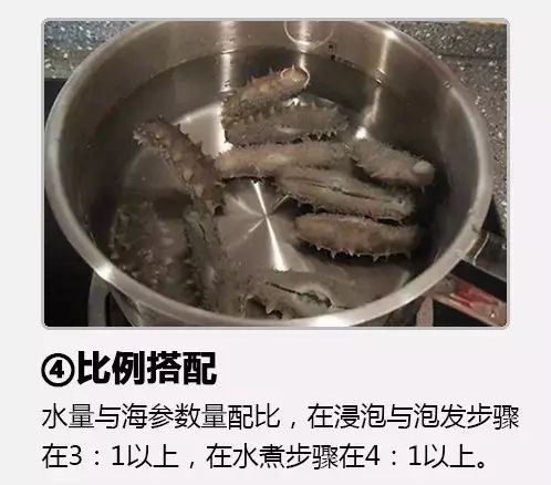 海参泡发好不难,就是泡