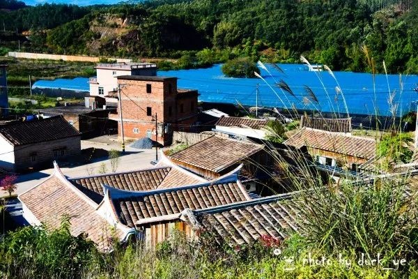 马厝村,马洋溪畔的一个小村落,村落沿溪流而建,农舍错落有致,空气里