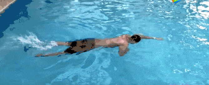 自由泳打腿gif图片