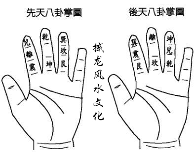 十岁左右的健康儿童,手掌是红润的,掌上1,2,3线清晰,十指皮肉相裹
