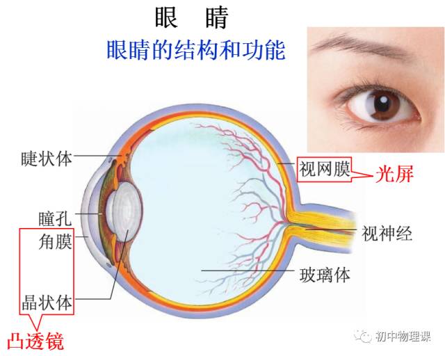 精品课程 第六节 神奇的眼睛