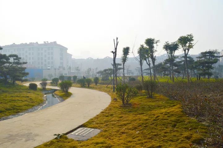 旅遊 正文 青龍河淨水廠工程是臨沂市中心城區水環境綜合整治工程重點