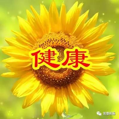 送你六朵花, 为你带来好运和吉祥 太美丽了 愿给全天下女人