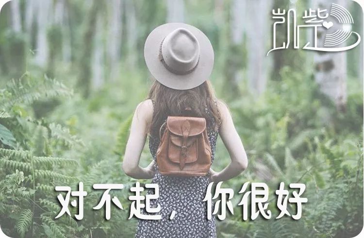 对不起,你很好