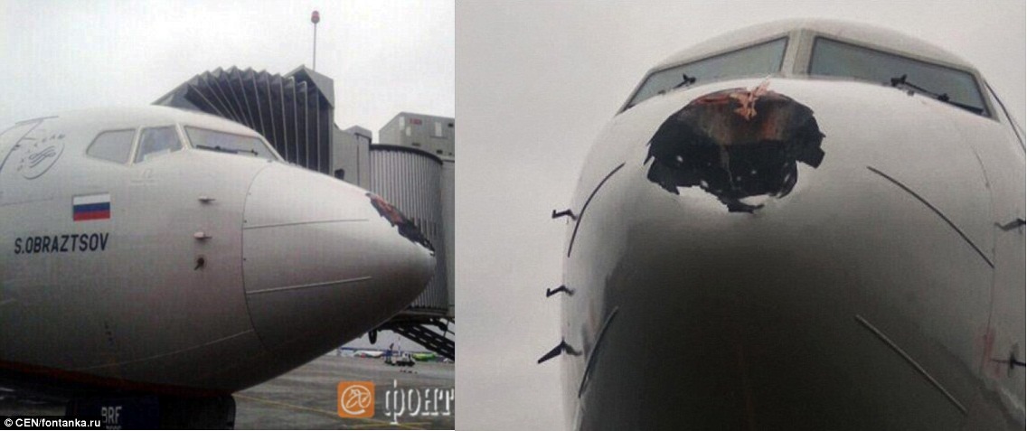 飞机被撞出巨大的洞,还好安全着陆