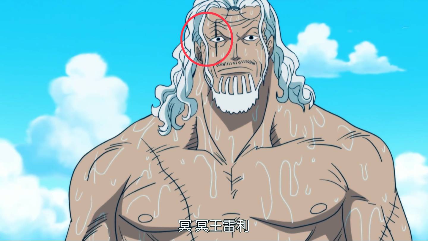 【海贼王】这8位顶尖剑豪,眼睛上都有一道伤疤,尾田是何用意?