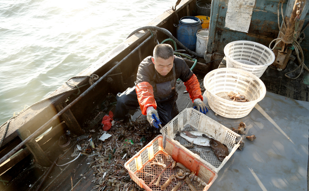 青岛网红渔民直播出海捕鱼,一个月卖出3000多斤海鲜