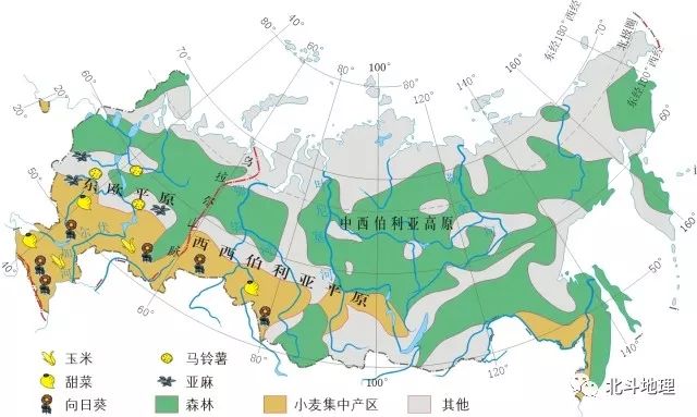 农业西伯利亚地区大部分是亚寒带针叶林气候和温带大陆性气候,过于