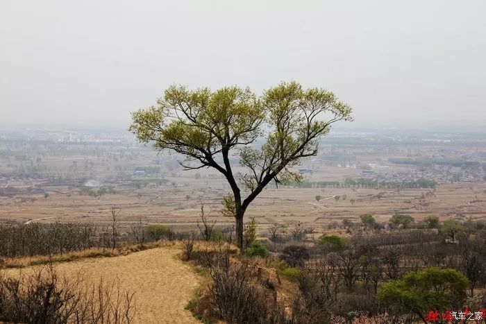 駛出寬溝村村外,就是太行山山溝了,沿著硬化村村通小道,慢慢踏上回家