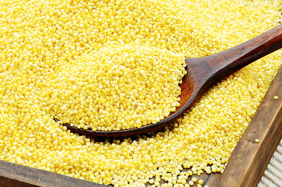 小米分为粳性小米糯性小米和混合小米