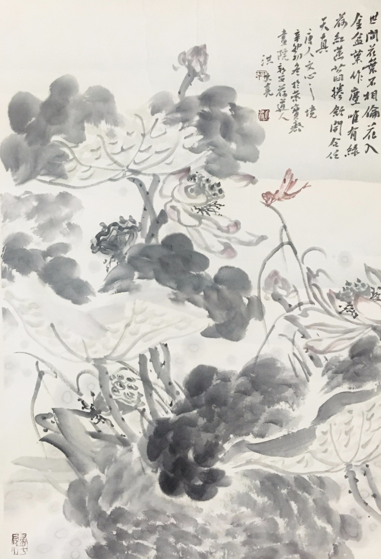 48 洪大亮 花鸟67x46cm 纸本设色作者简介:洪大亮又名洪志光,1966年生