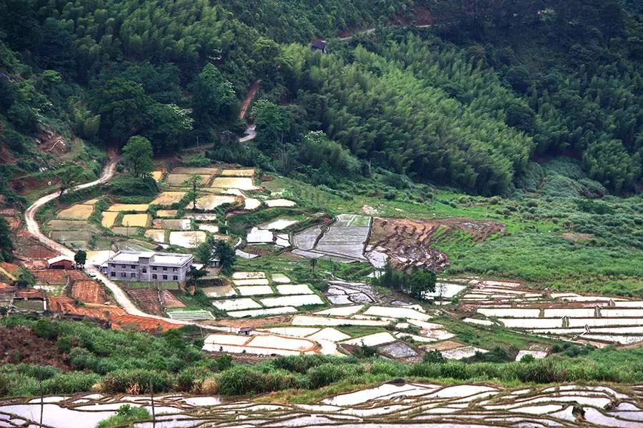 联合梯田位于尤溪县北部联合乡境内,近万亩梯田分布在秀丽的金鸡山