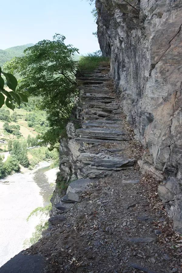 陕西镇平,湖北溪县,重庆城口.