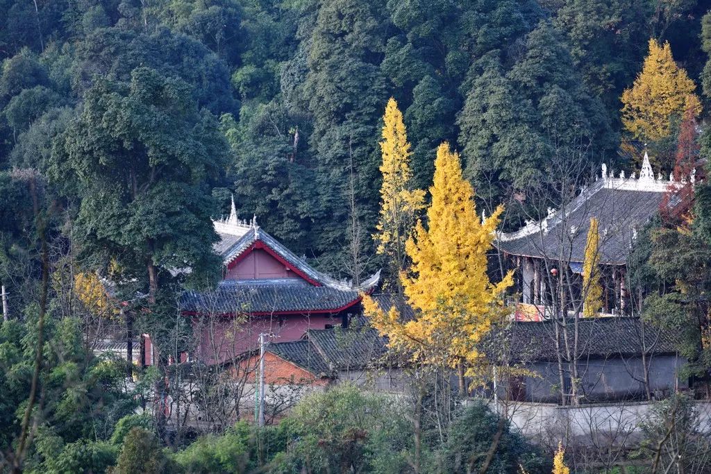大理法藏寺图片