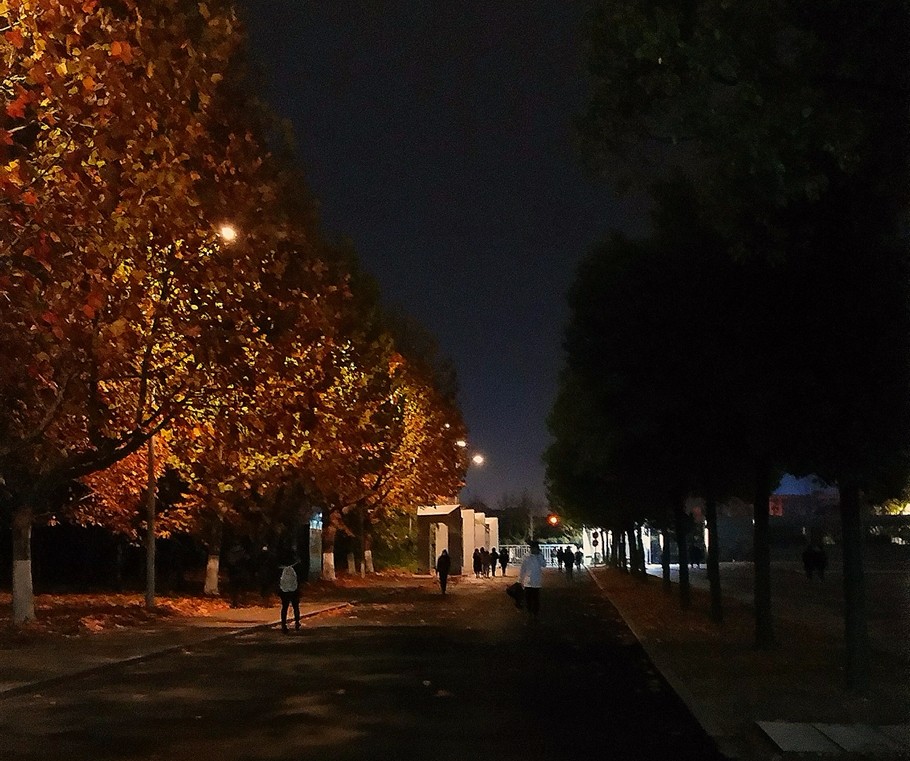 安徽财经大学夜景图片