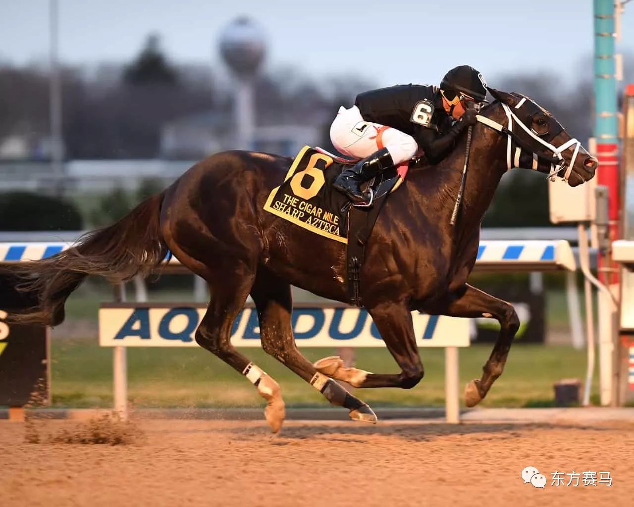 地点:亚古德赛场(aqueduct racetrack 信息:一级赛,1英里/约1600米