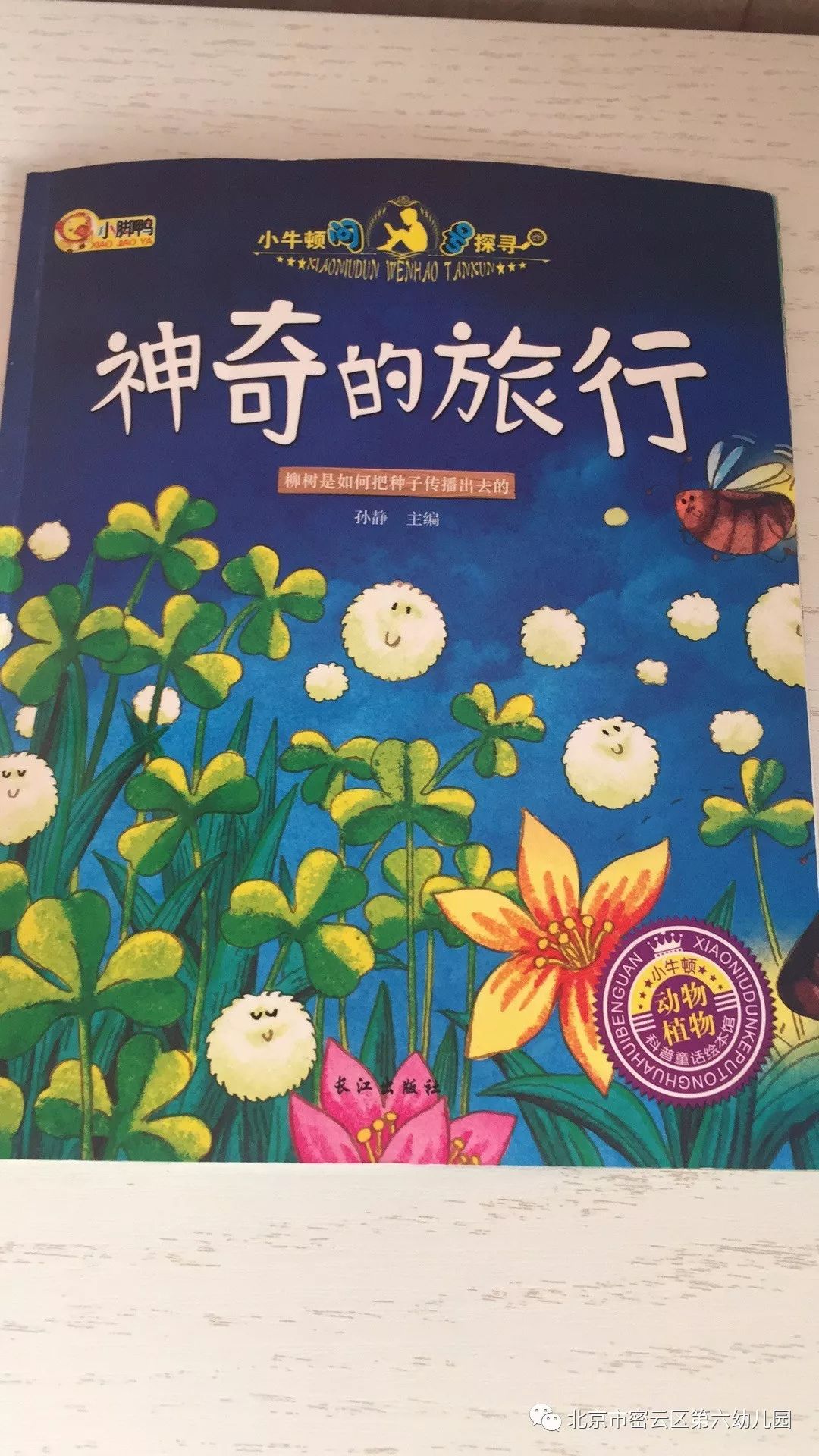 幼儿讲绘本神奇的旅行