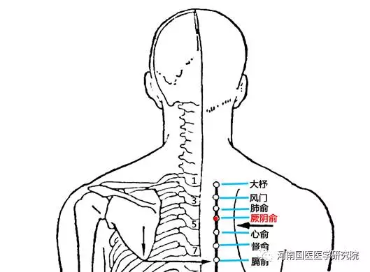 风湿性心脏病