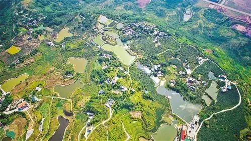 就是军事型代表.九龙坡区寨山坪村涪陵区大顺乡的大顺村.