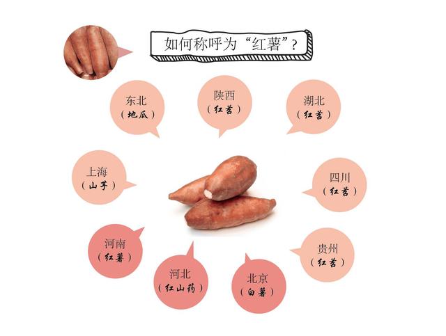 红瑶红薯品种介绍图片
