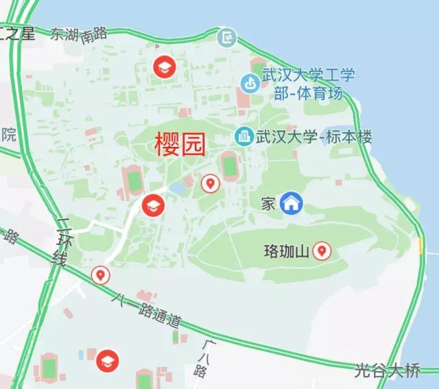 武漢大學學生宿舍佈局合理配套齊備有歷史有美景連名字都充滿詩意