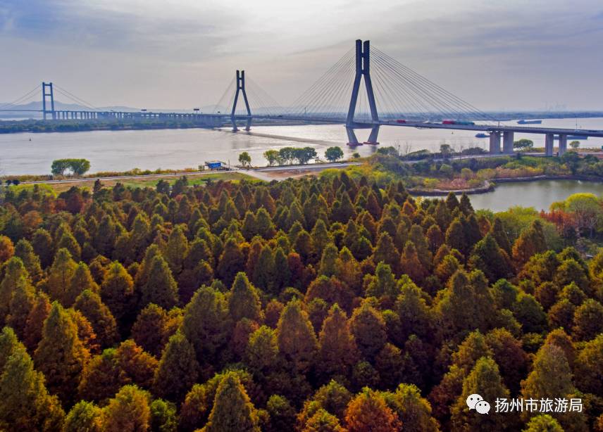 如寶應湖溼地公園,高郵東湖溼地公園,江都淥洋湖,邗江潤揚森林公園等