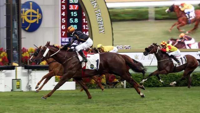 香港本日
开马（香港本日
开马吗最新消息）〔本港台香港开马〕