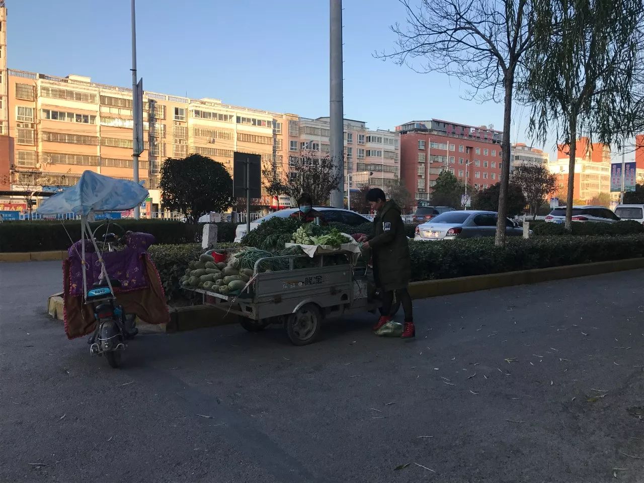 项城近10天发生的车祸图片