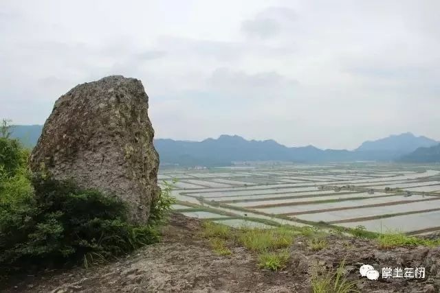 从龙头山上俯瞰下岙方景在村中,村融景中!