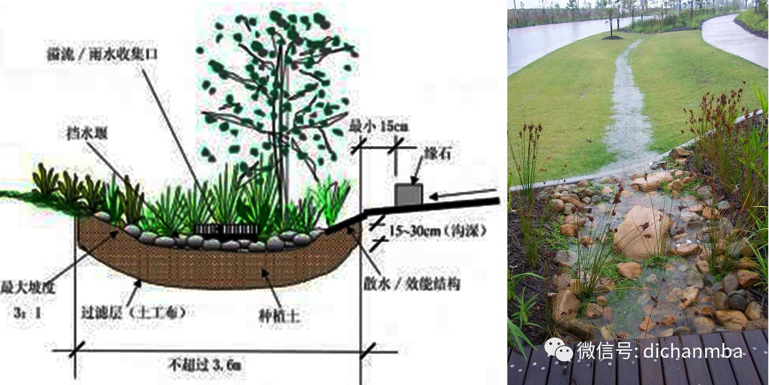 海綿城市技術移植到景觀!萬科景觀又領先了!