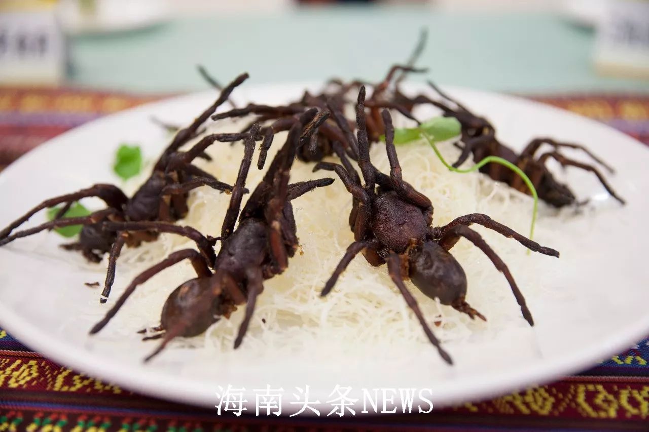 油炸蜘蛛是什么味道?五指山美食的画风真的不太一样