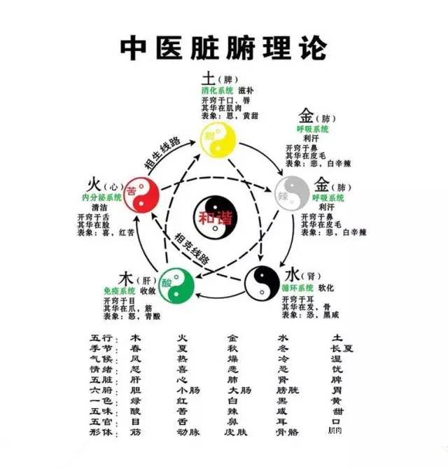 中醫精粹:五行,五臟,五味,五色,五官,五情,五季,五液的關係