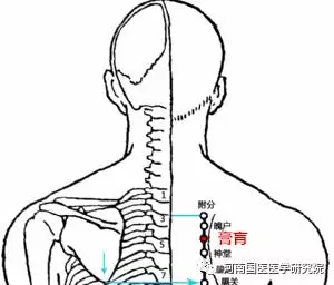 陽痿,慢性胃炎,神經衰弱,乳腺炎可以多按摩膏肓穴試試!