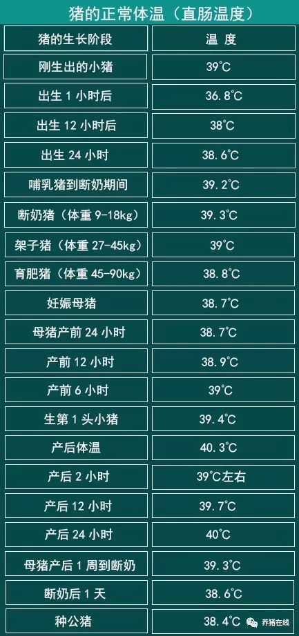 育雏温度对照表图片