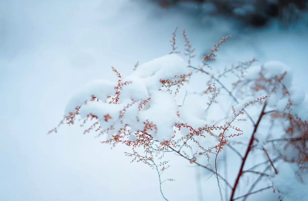 24節氣·遇見金華好時光 | 今日大雪,凜冬已至