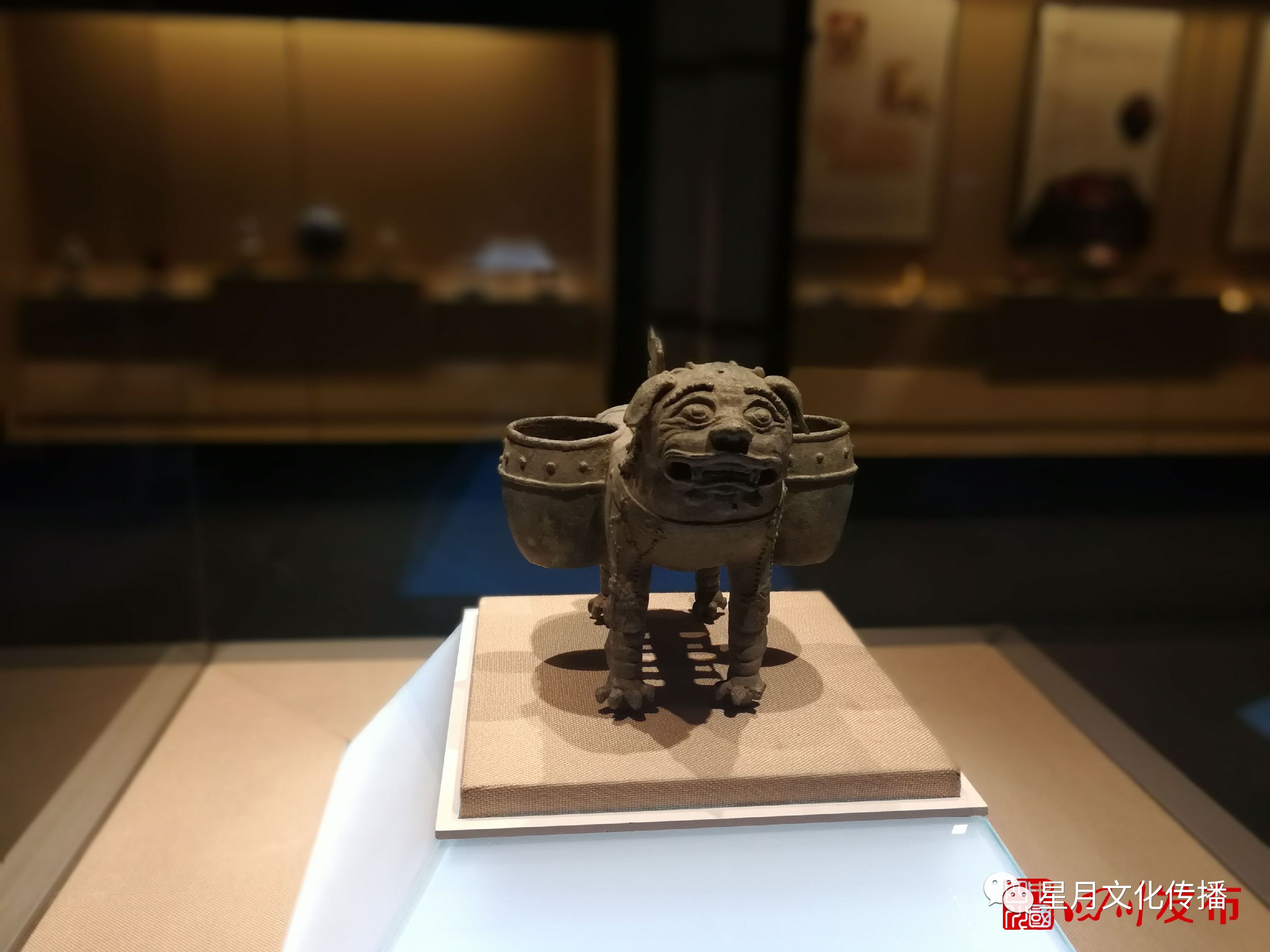 瀘州博物館改展完畢可免費參觀