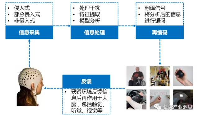 脑机接口技术的实现包括信息采集,信息处理,再编码和反馈四个步骤.