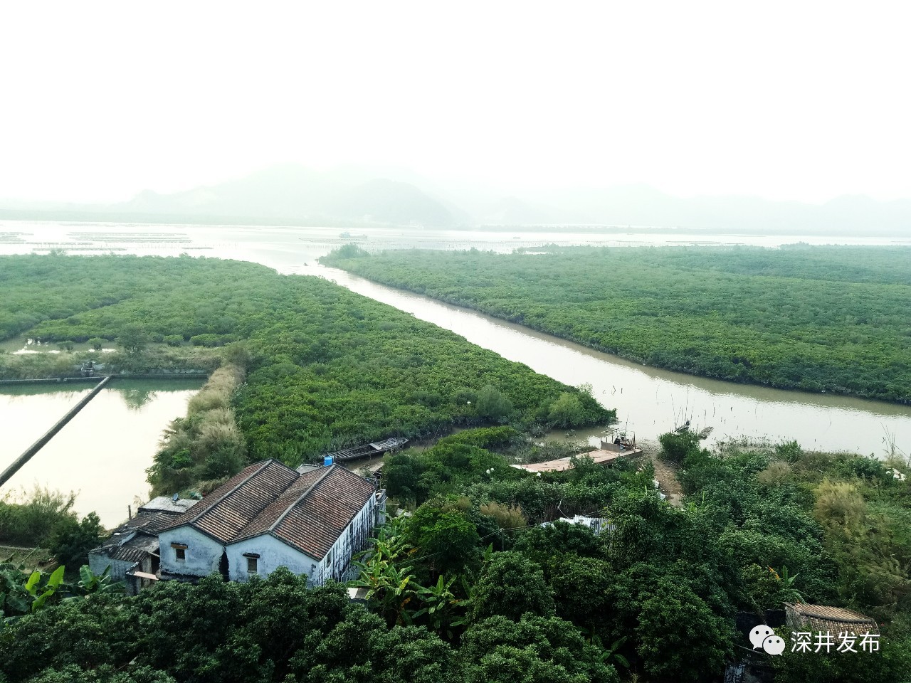 深井镇紧密跟随台山市委,市政府全力推进全域旅游的工作步伐,向五湖