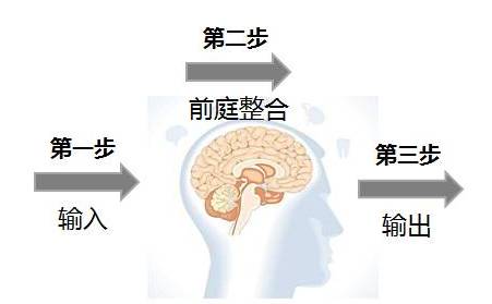 感觉统合中的前庭觉,是影响孩子智力发展好坏的关键!