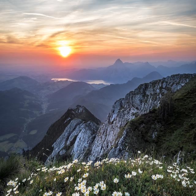 中年头像风景图片