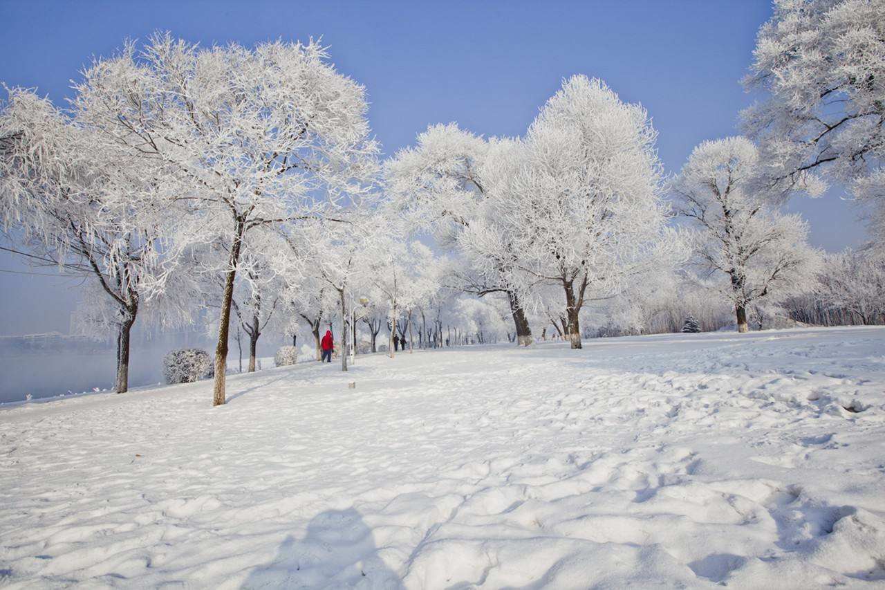 大雪| 瑞雪兆豐年