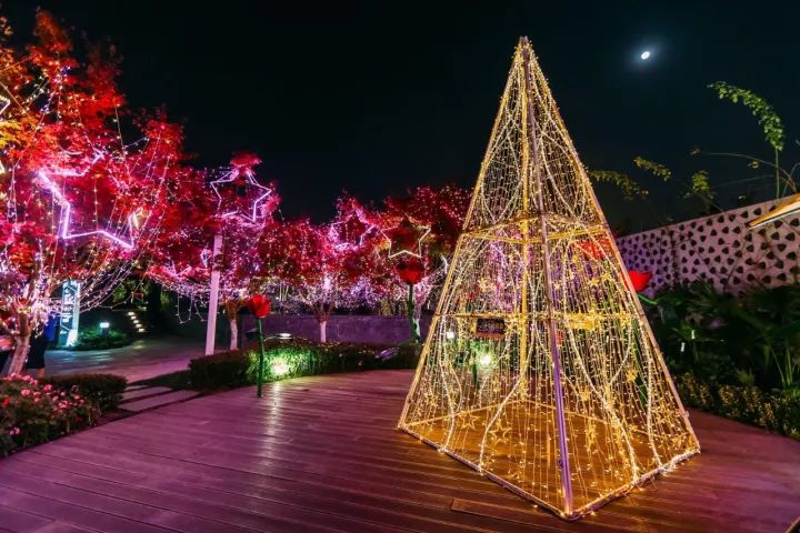 夜光玫瑰花海吗还记得成都大悦城也可以在现场购票哦购票请关注大麦网