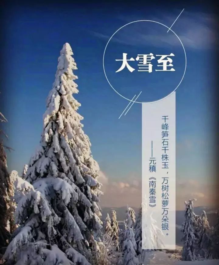 南秦雪元稹图片