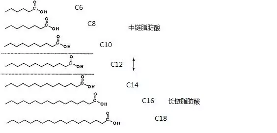 chain triglycerides)的简称,是由碳链长度6