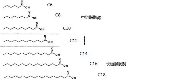 脂肪酸分子结构式图片