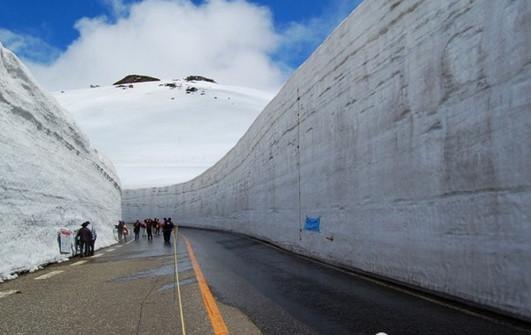 日本公路两旁的雪墙竟高达20米,景色壮观,游客高兴极了