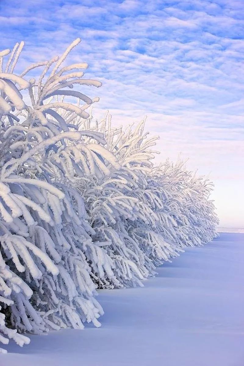 觀澄雖無大雪紛飛但見人間冷暖