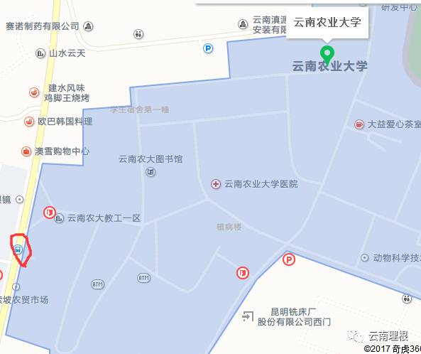 云南农业大学平面地图图片