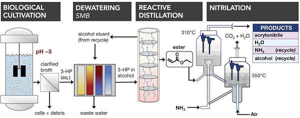 今日science:美國可再生能源國家實驗室提出生產可再生丙烯腈的新方法