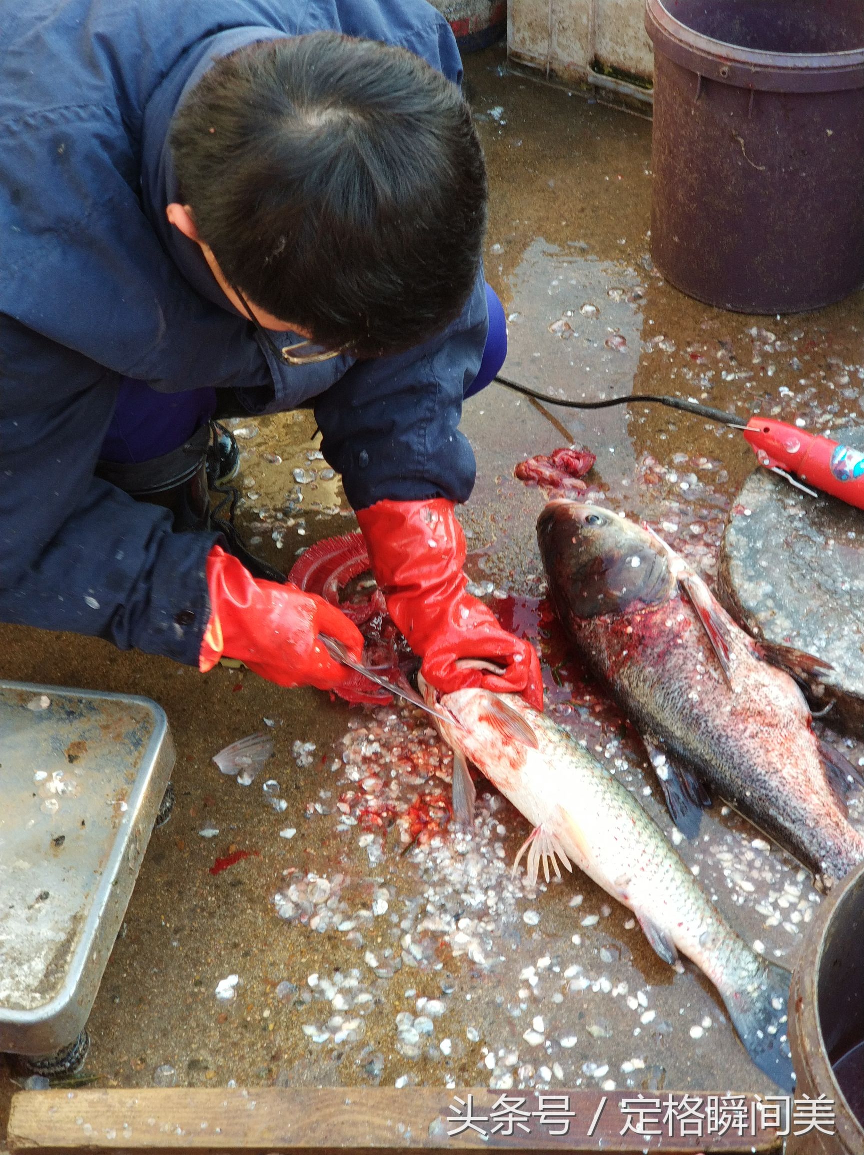 12月7日,小編去趕集,到了賣魚的攤位.